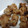 明日歩's cooksnap of when they made 簡単！さばのタツタ揚げ（焼き）.