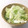 プンプン庵's cooksnap of when they made レタスだけ～❤超簡単マヨサラダ★.