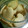 紅月かなめ's cooksnap of when they made 簡単おいしい！さくさくっきー♪.
