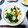 のん＊＊'s cooksnap of when they made 豚肉と小松菜&白菜の塩たれ炒め.