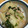 サファイにゃん's cooksnap of when they made 簡単！カブとひき肉和風あんかけ.