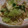 pademelon's cooksnap of when they made 母の味！簡単もやしの中華あえ.