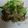 ★りこ1210★'s cooksnap of when they made 簡単！我が家のホイコーロー.