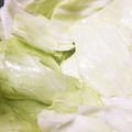 主婦CAYO's cooksnap of when they made パリッとにんにくレモンだれキャベツ.