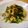 runa10's cooksnap of when they made ニラ玉☆簡単あんかけ付き.