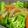 Rick_t's cooksnap of when they made 野菜の適当オイスターソース炒め.