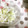 毎日楽しい's cooksnap of when they made 白菜とりんごの簡単サラダ.