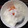 こたつねこくん's cooksnap of when they made まるごとみかんヨーグルト.