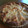 たったマミー's cooksnap of when they made 甘さ控えてもとっても美味しい洋梨タルト.