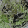 iomanma's cooksnap of when they made 白菜の塩昆布和え☆柚子胡椒風味.