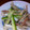 Banira25's cooksnap of when they made セロリとみょうがの小鉢☆.