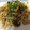 Yooboo's cooksnap of when they made しゃきしゃきもやしの和風パスタ.