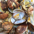 椎名蜜柑's cooksnap of when they made あさりの酒蒸し　～あおさとごま油風味～.