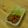 なななキッチン's cooksnap of when they made ササミのカリッと蒲焼風丼。.