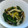 栄養士mikako♬'s cooksnap of when they made 春菊としめじの煮浸し.