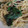ｎａｏｋｏｐｙｏｎ's cooksnap of when they made ﾏﾀﾆﾃｨ☆きのことほうれん草のパスタ.