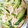 hozunyam's cooksnap of when they made 酒蒸しささみときゅうりの梅マヨ.