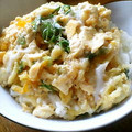 ふぁんたちー's cooksnap of when they made 簡単に丼の出汁黄金比♪《かき揚げ玉丼偏》.