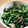 うさゆ's cooksnap of when they made なすと小松菜のごま和え.