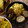 milk＊crown's cooksnap of when they made 焼き肉のたれで★えのきの豚肉巻き.