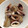 ぽいうytr's cooksnap of when they made イカと大根の煮物♪.