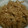 JILLの赤メガネ's cooksnap of when they made 大根の皮で！エコな大根のきんぴら.