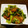 つじらんchan＊'s cooksnap of when they made 簡単☆小松菜のオイスターソース炒め.