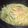 dantemustdie's cooksnap of when they made 白菜と鮭の簡単和風パスタ♪.