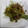 natico's cooksnap of when they made 全て頂く♪豆苗のオイスターソース炒め♪.