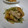 natico's cooksnap of when they made すっごく簡単！豆苗炒め.