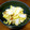 こゆきたけ's cooksnap of when they made あと一品！白菜のおかか和え.