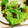 そうそれはわたし's cooksnap of when they made 納豆のもやしレタス巻き.
