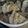 どないすんねん's cooksnap of when they made がんもの煮物【ｷｬﾍﾞﾂを添えて】.