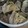 どないすんねん's cooksnap of when they made がんもの煮物【ｷｬﾍﾞﾂを添えて】.