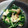 豆ミミ's cooksnap of when they made 水菜と油あげの煮浸し.