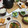 めぃ♪'s cooksnap of when they made 簡単☆ほうれん草の胡麻和え.