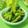 ぽっぽぺぺ's cooksnap of when they made 菜の花の辛し和え.