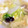 きたみーちゃん's cooksnap of when they made 白菜と卵のあったかスープ.