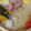 ★お料理始めました★'s cooksnap of when they made 簡単！あっさり塩鍋.