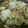 mingming79423's cooksnap of when they made 俺流！豚コマ肉のポカポカ野菜炒め.