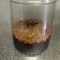 ＭＡ＠ＫＯ's cooksnap of when they made 秘密の自家製焼肉のタレ.