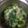 さぼ次郎's cooksnap of when they made 子どもが喜んだ青梗菜とベーコンのスープ.