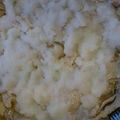 えんそく's cooksnap of when they made 豚肉のかぶら蒸し.