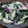 まめﾁｬﾝぬ's cooksnap of when they made タコとわかめのサラダ♪中華マヨソース♪.