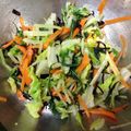 〜tinr～'s cooksnap of when they made 歯応えが楽しい☆白菜、水菜の塩昆布和え.