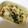 ゆ〜ぴゆ〜ぴ's cooksnap of when they made 【25分】鱈と大根で作る冬の和風グラタン.