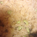 marinchana's cooksnap of when they made 簡単美味☆枝豆の炊き込みご飯.
