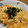 ばんしょう's cooksnap of when they made 大根菜と南高梅の混ぜ御飯.