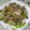 クック6DDPP8☆'s cooksnap of when they made もやし・きゃべつ・豚挽肉のお手軽野菜炒め.