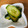 ｂｅｒｒｙ＋'s cooksnap of when they made きゅうりの漬物.